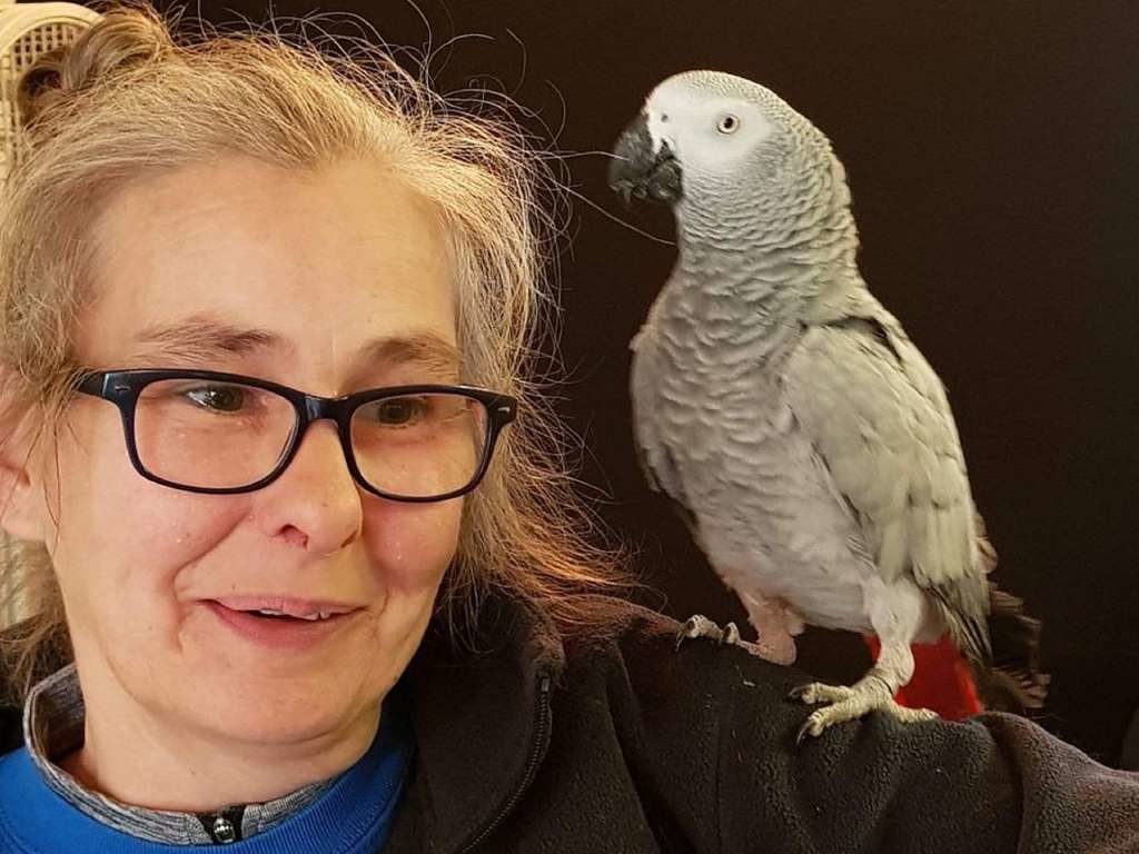 Click to enlarge Parrot Uses Alexa