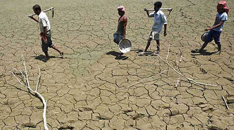 In a total of 269 villages, farmers have suffered crop loss of 50 per cent or more, states the SLBC report. (Representational )