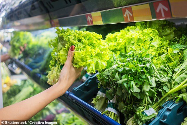 Click to enlarge lettuce