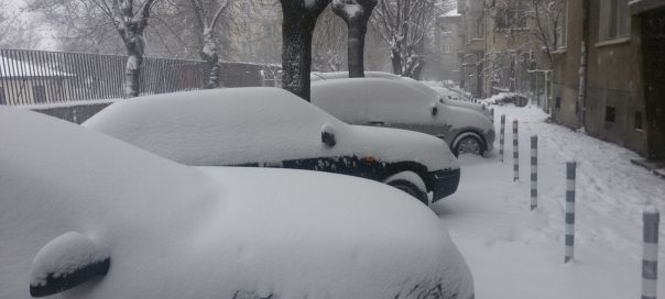 snow sofia