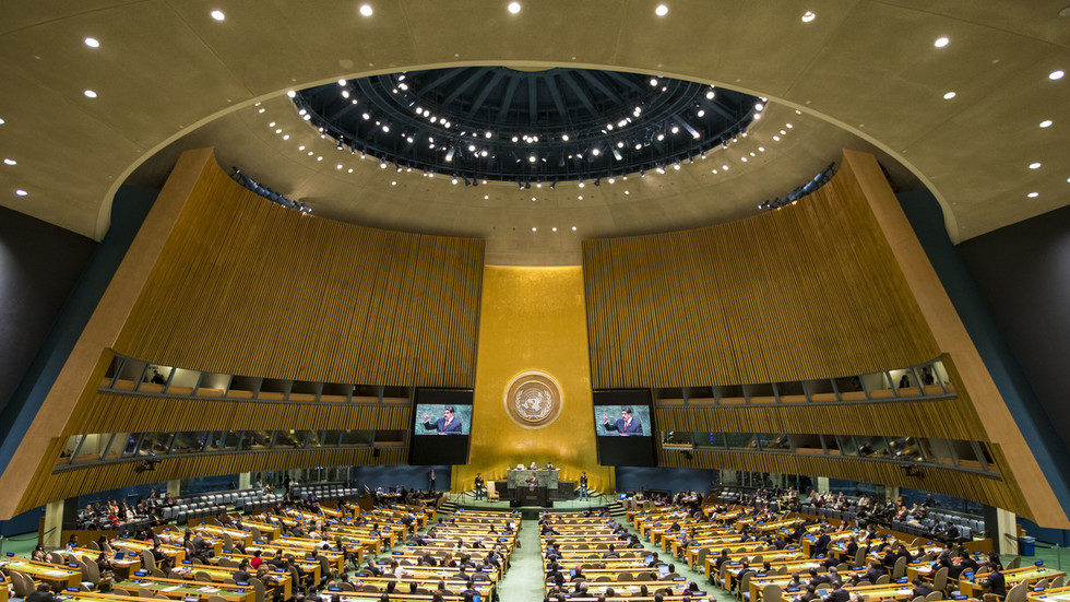 Click to enlarge UN assembly