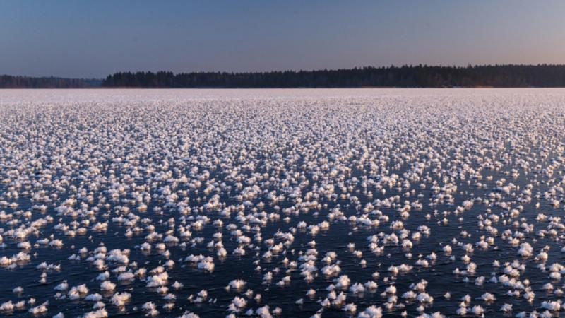 ice flowers