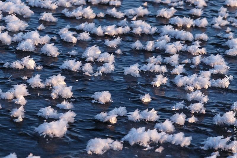 ice flowers close up