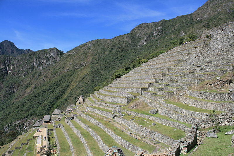 Machu Picchu terraces