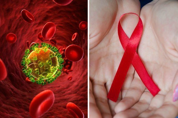 Scientists succeed in destroying HIV infected cells, suggest it will ... picture