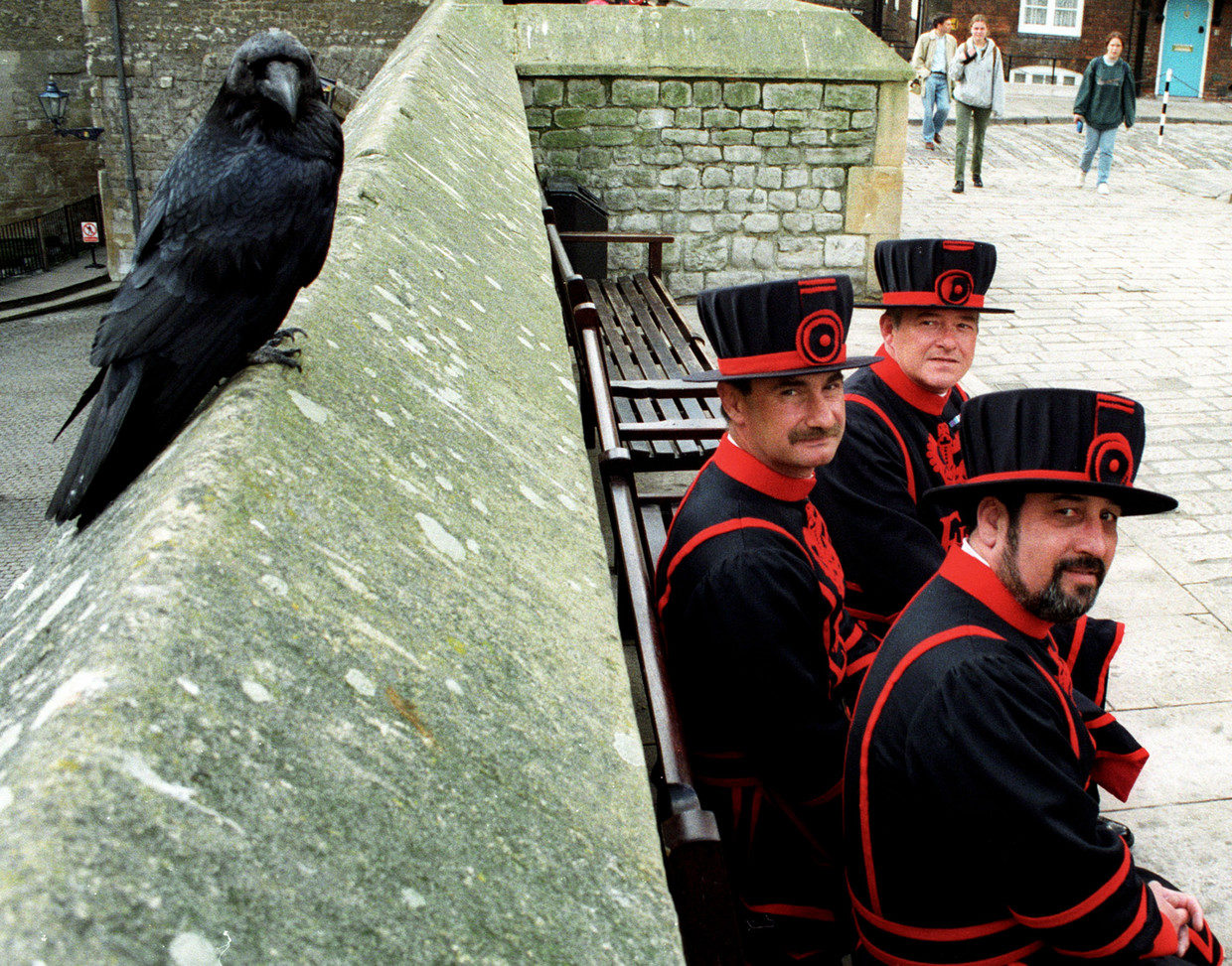 Click to enlarge beefeater