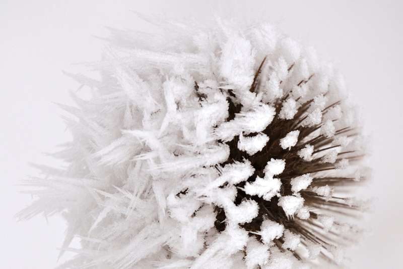 Click to enlarge Rime