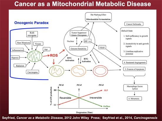 mitochondrial disease
