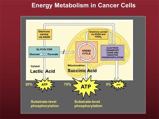 energy metabolism cancer