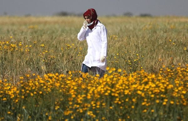 Rouzan al-Najjar