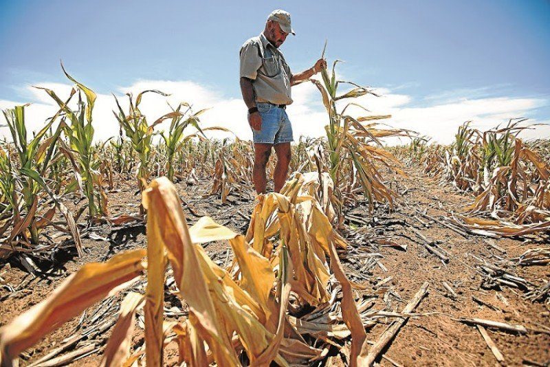 Drought South Africa