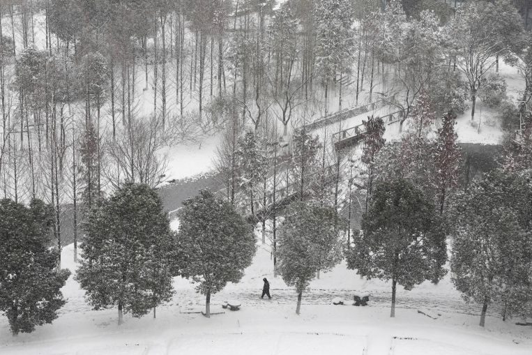 The snow-covered Shanshan wetland in Wuhan, Hubei province, on Sunday. Public transport in parts of China has been suspended as snowstorms hit.