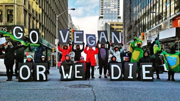 Click to enlarge vegan protest toronto