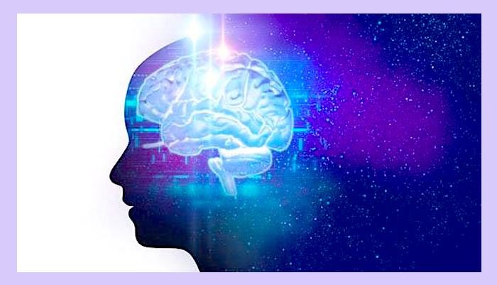 head/brain