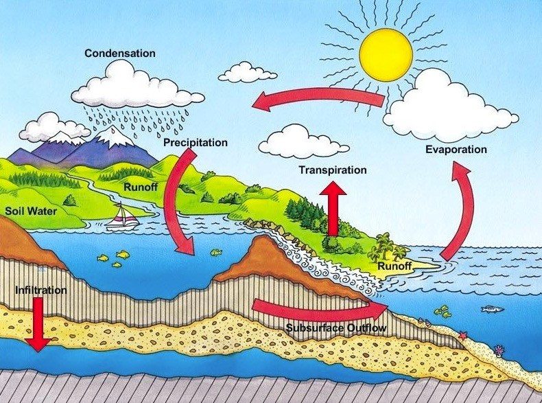 hydrological cycle