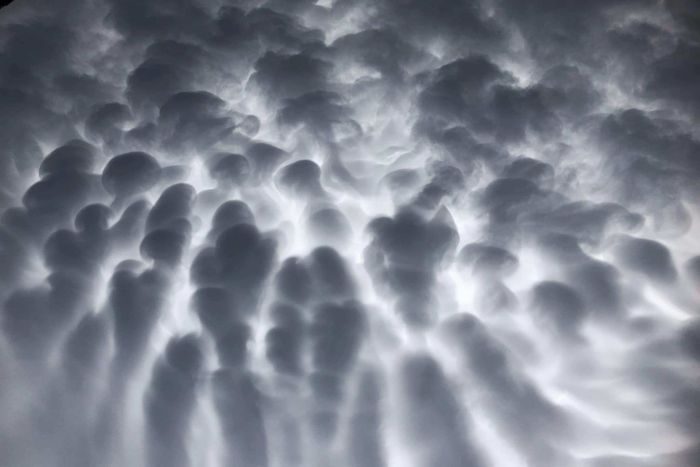 Dramatic backlit mammatus clouds over Sydney.