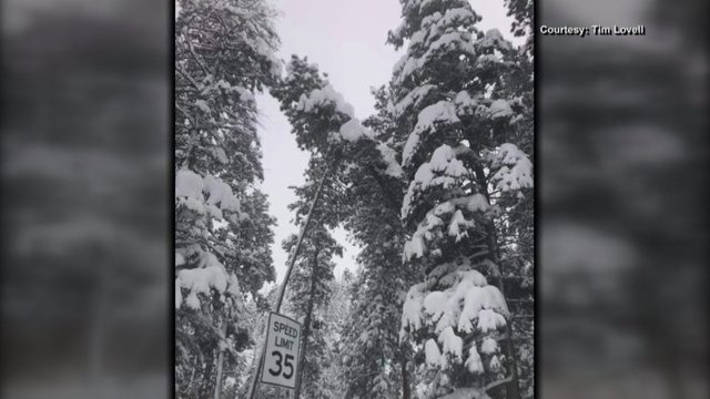 Click to enlarge snow ski
