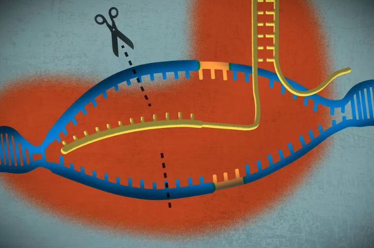 CRISPR
