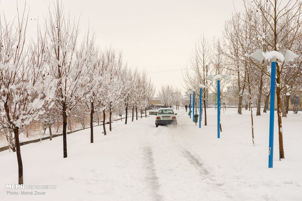 Seventeen provinces of Iran have been stricken by heavy snow storm over the past 24 hours, Rescue and Relief Organization head Morteza Salimi has said.