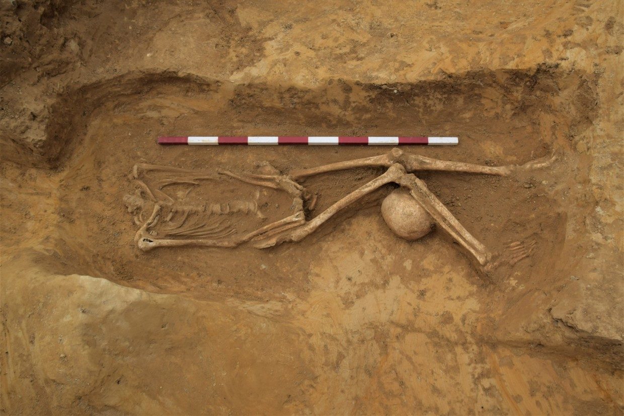 Click to enlarge decapitated skeleton
