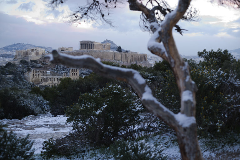 Snow covers a tree in front of the ancient Acropolis hill with the 500BC Parthenon temple, after snow fell in Athens, on Tuesday,