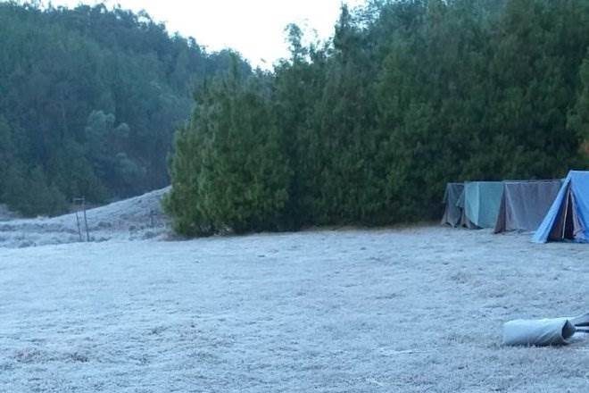 Kerala frost