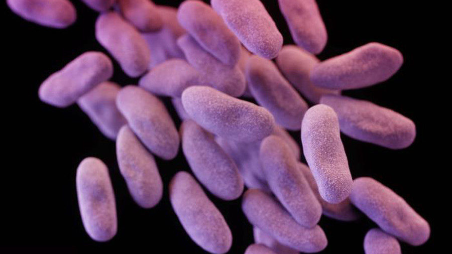 Click to enlarge Mutant superbugs