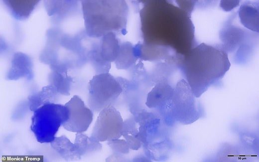 Click to enlarge lapis lazuli particles
