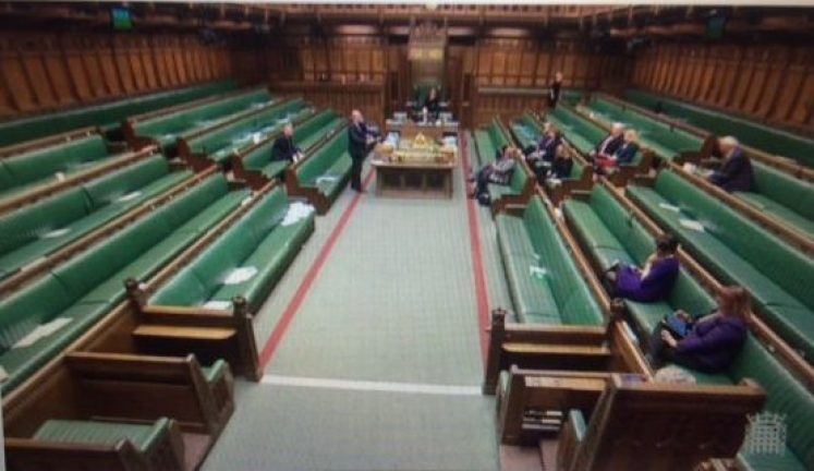 Click to enlarge healthcare report parliament UK