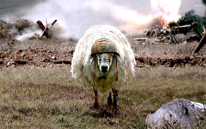 Click to enlarge Sheep helmet