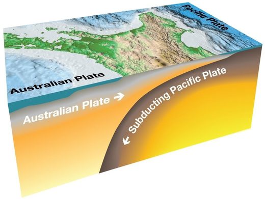 Hikurangi subduction zone new zealand