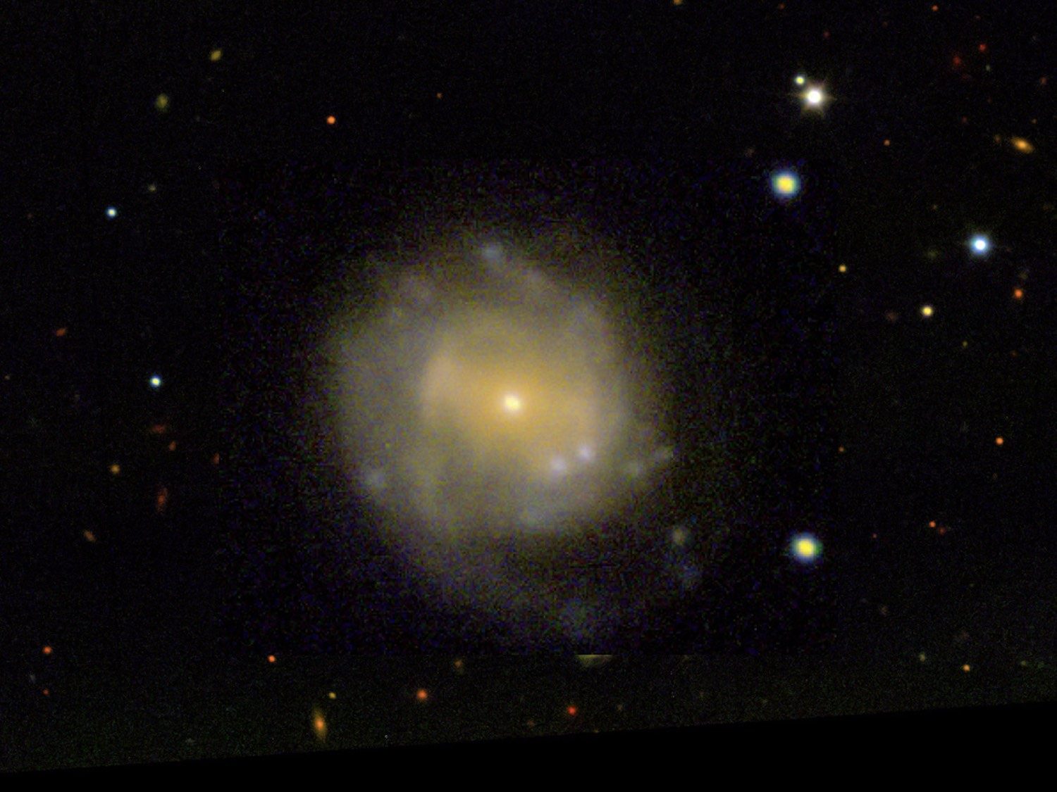 Cosmic Cow