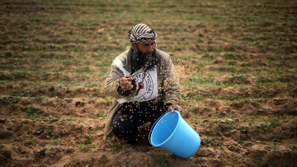 Palestinian farmer