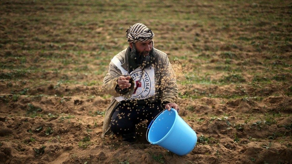 Palestinian farmer