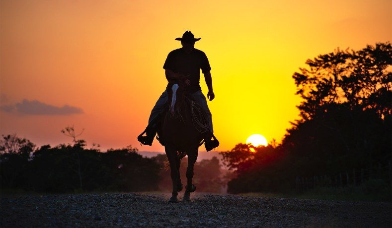 cowboy horse sunset