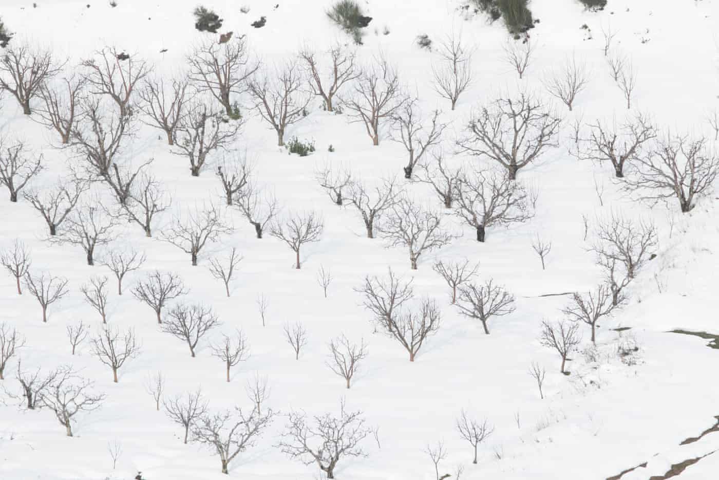 Click to enlarge Snow outside of Beirut