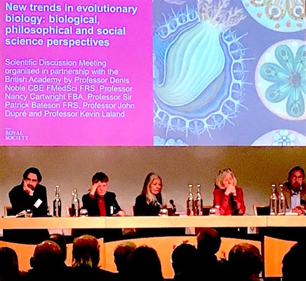 royal society panel