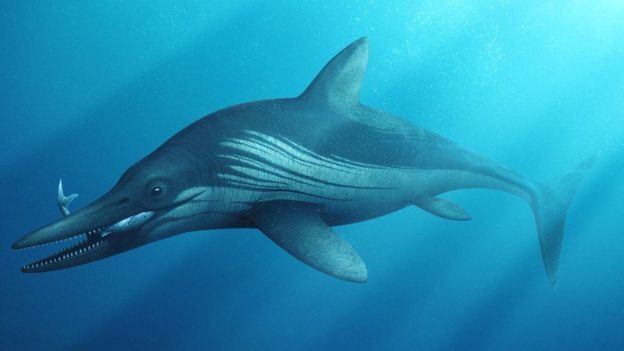 Click to enlarge ichthyosaur reconstruction