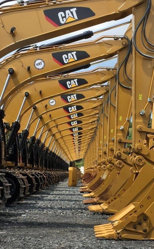 Click to enlarge Cats