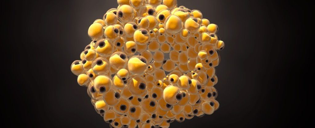 Click to enlarge Design Cells