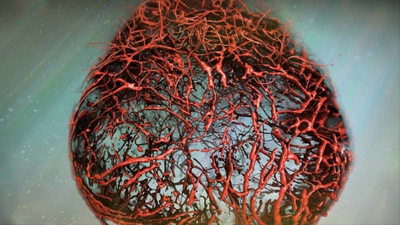Click to enlarge artificial blood vessels
