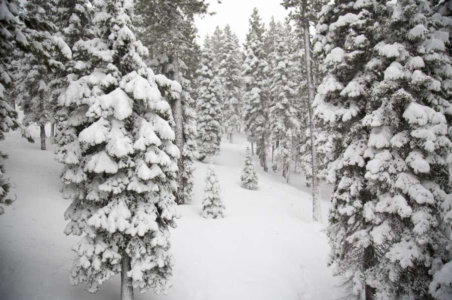 On Wednesday morning, Northstar California