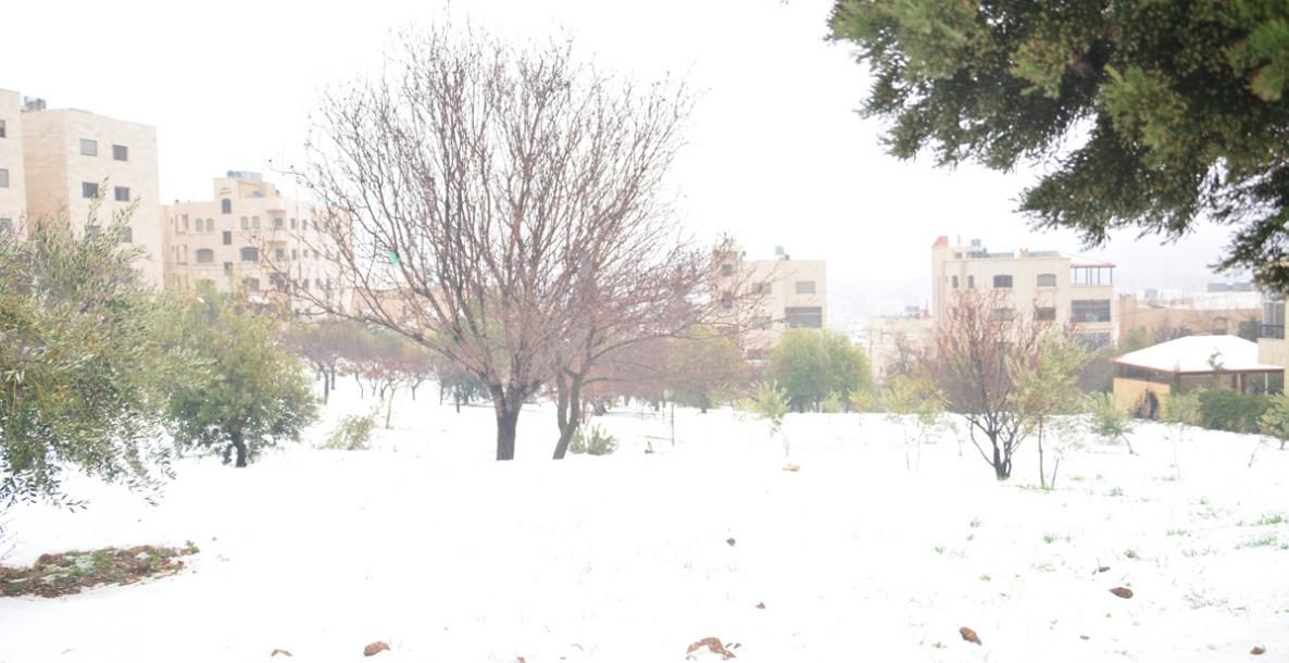 SNOW