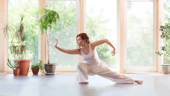 The goal of qi gong isn’t an addition process; it is more a subtraction process.