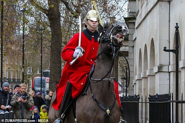 Click to enlarge Cavalry