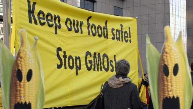 Stop GMOs