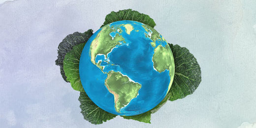 EAT-Lancet's plant-based planet: 10 things you need to know
