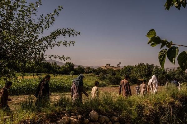Click to enlarge afghan cia