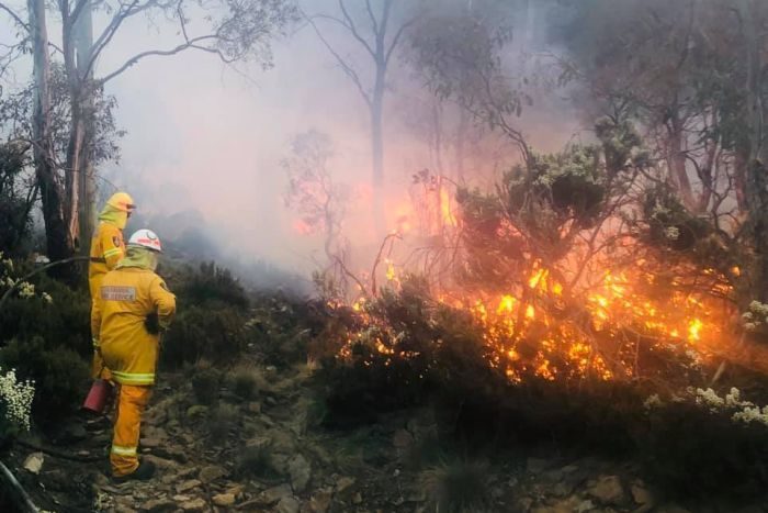 The blaze at Miena has been bought fought by crews on the ground and in the air.