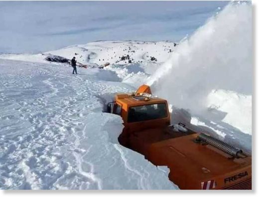 snow algeria